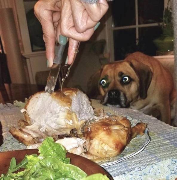 Morning Picdump