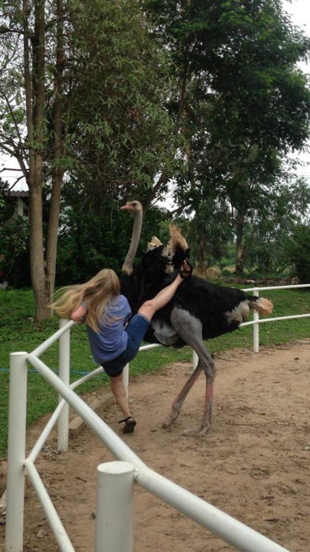Morning Picdump