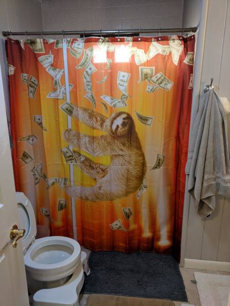 Morning Picdump