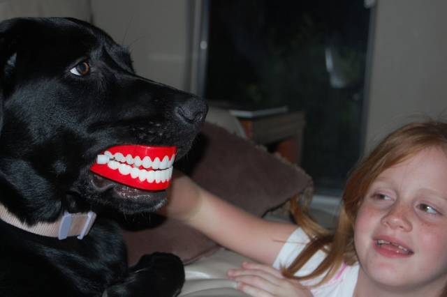 Daily Picdump