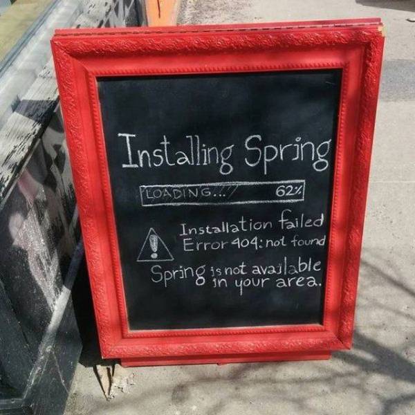 Daily Picdump