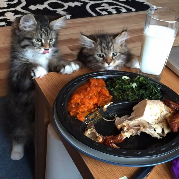 Daily Picdump