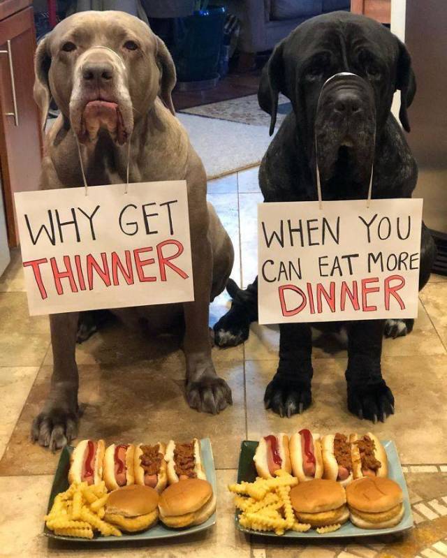 Daily Picdump