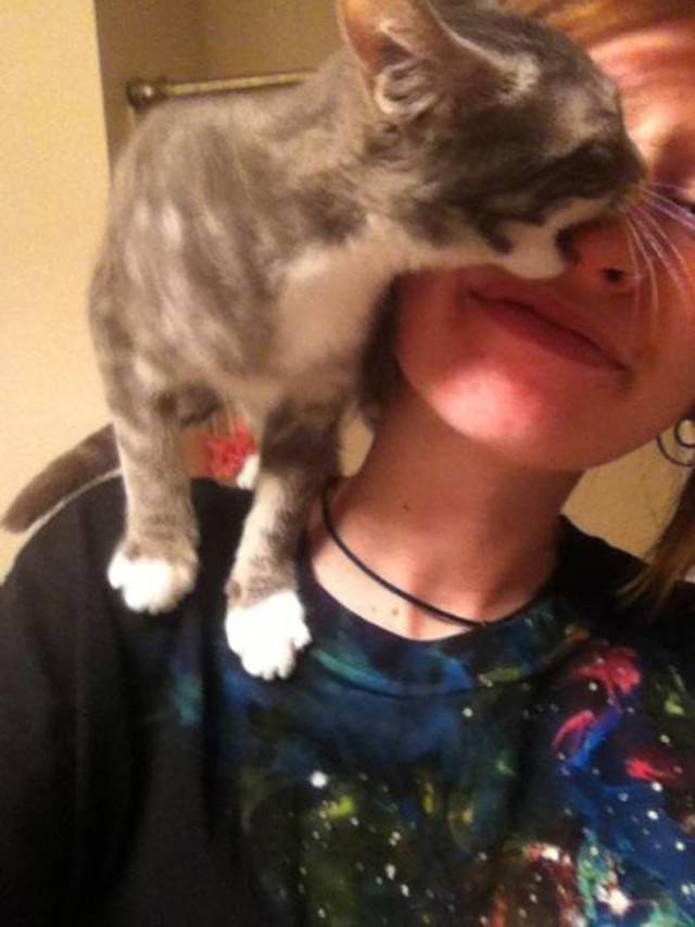 Daily Picdump