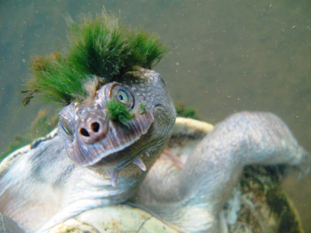 Morning Picdump