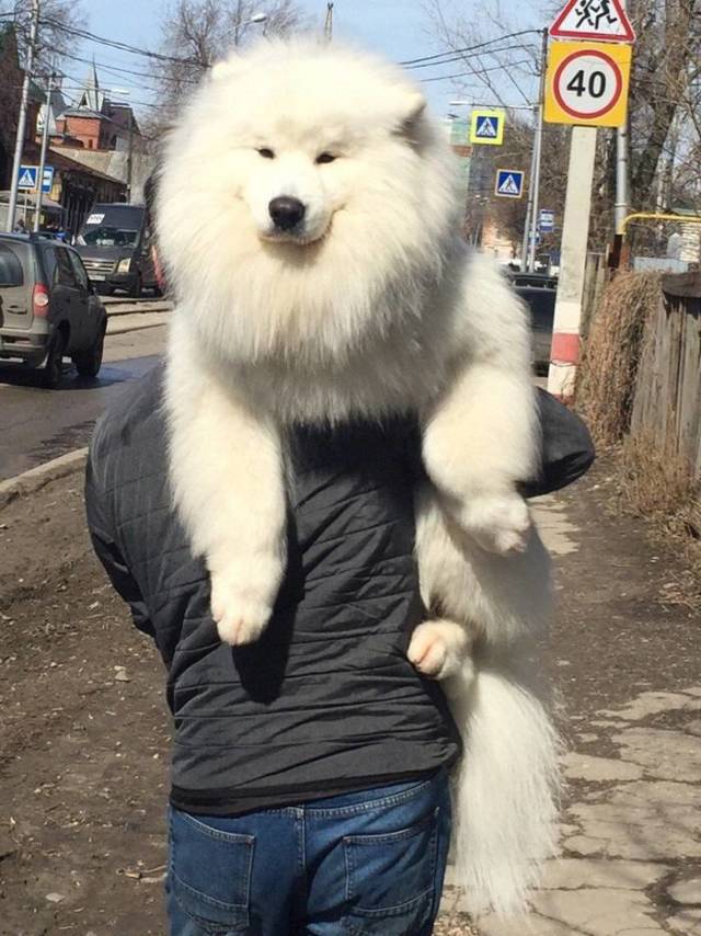 Morning Picdump