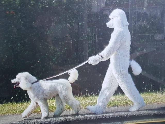 Daily Picdump