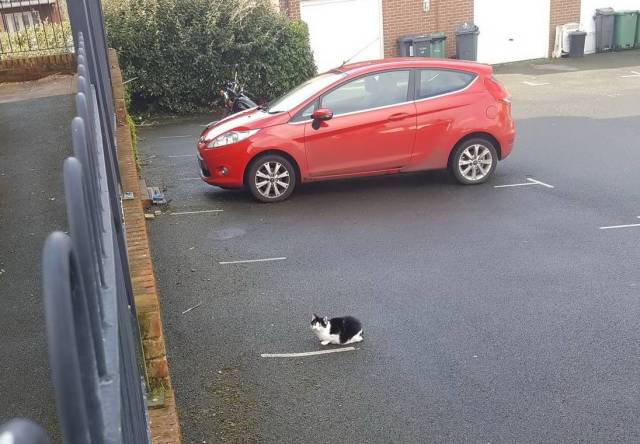 Daily Picdump