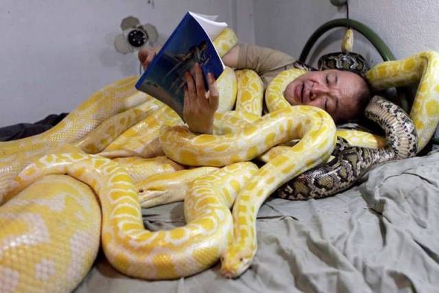 Daily Picdump