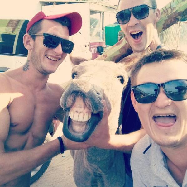 Daily Picdump