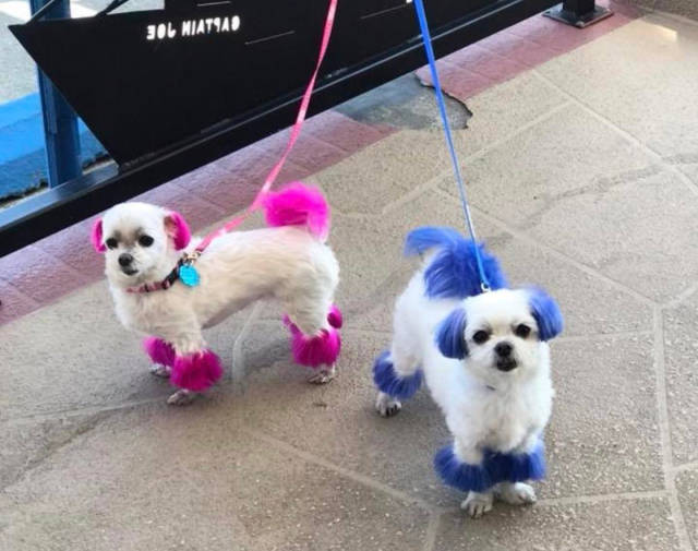 Morning Picdump
