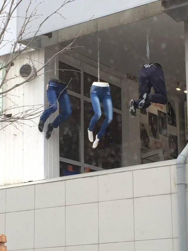 Morning Picdump