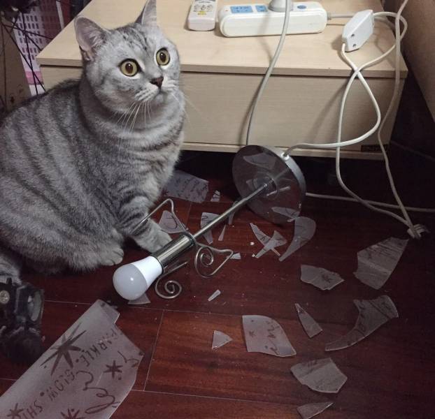 Daily Picdump