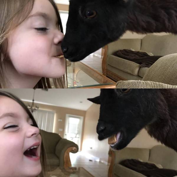 Daily Picdump