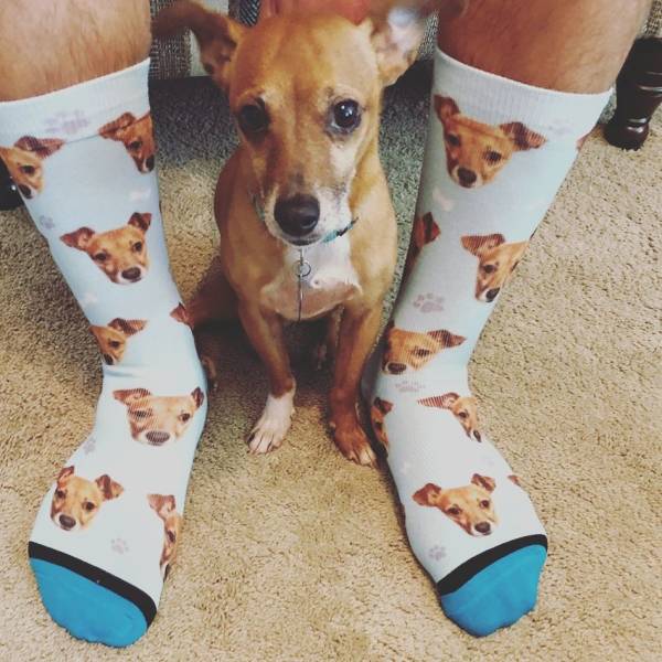 Daily Picdump