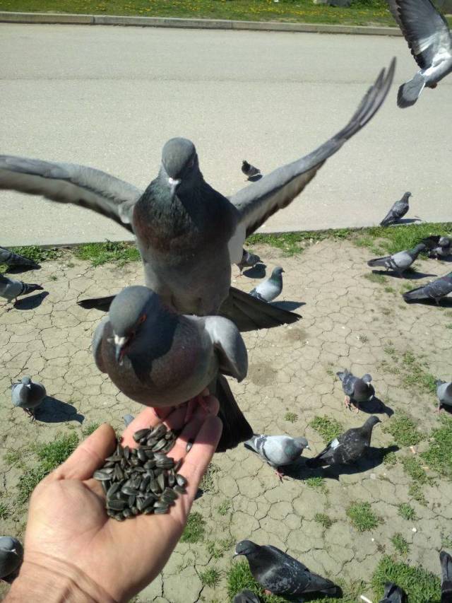 Daily Picdump