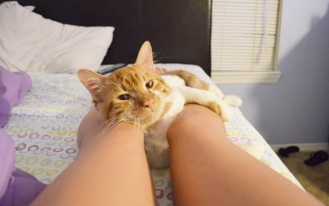 Daily Picdump