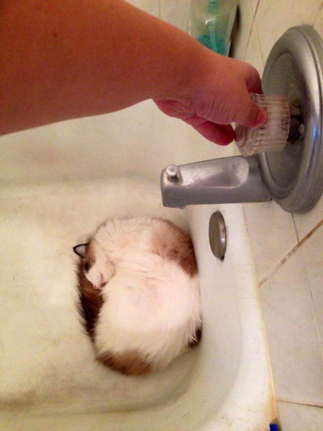 Daily Picdump