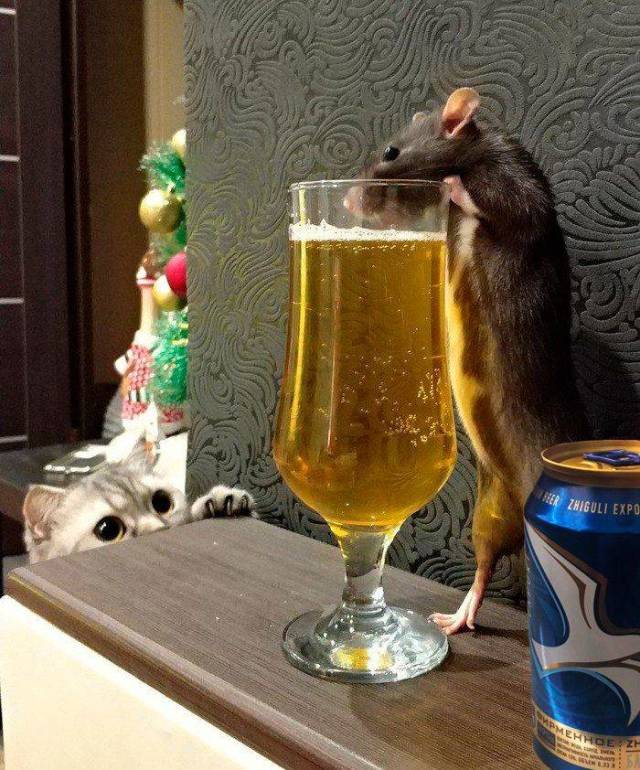 Daily Picdump