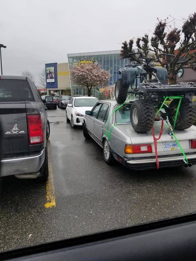 Morning Picdump
