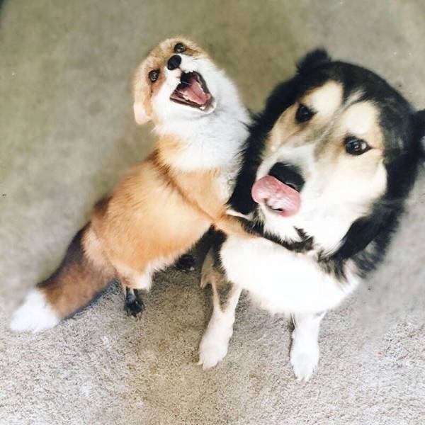 Daily Picdump