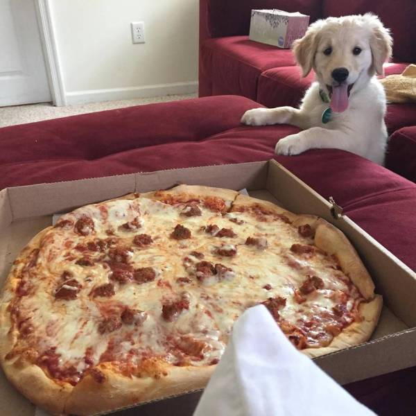Daily Picdump