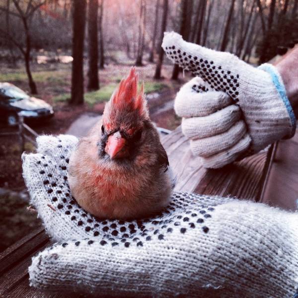 Daily Picdump