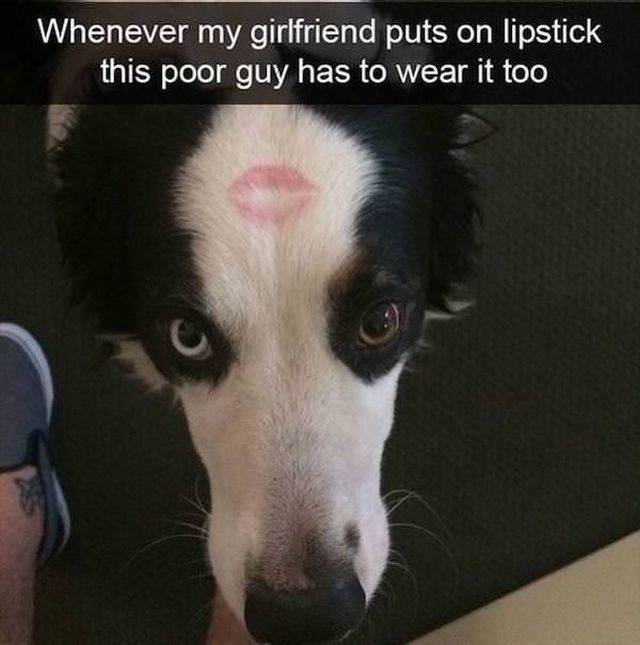 Daily Picdump