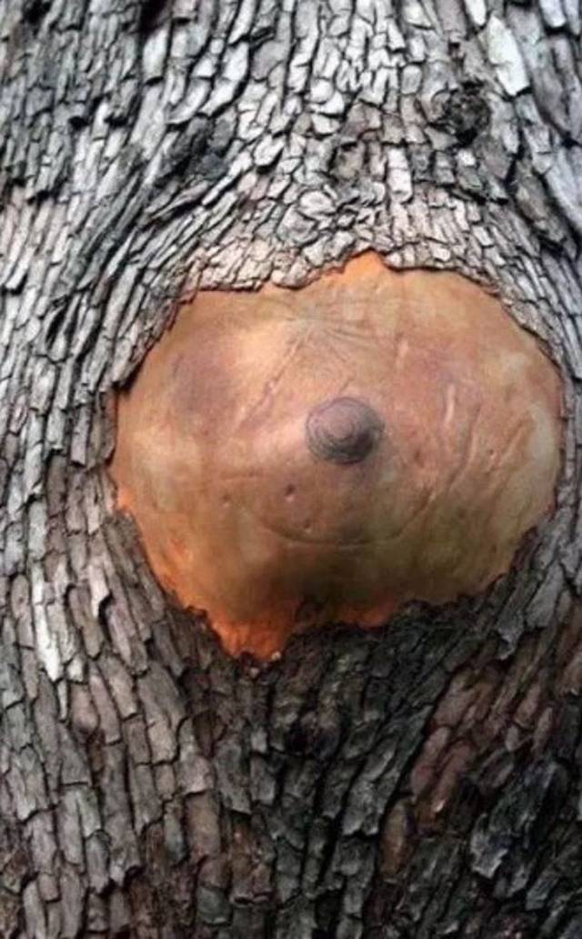 Dirty Mind, Come Here!