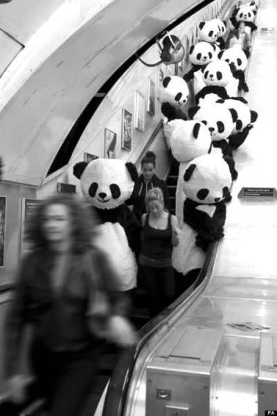 Morning Picdump