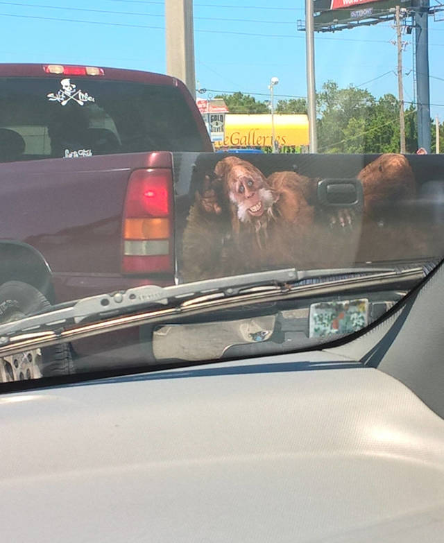 Morning Picdump