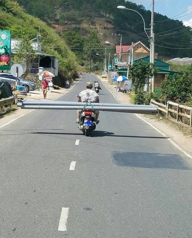 Daily Picdump