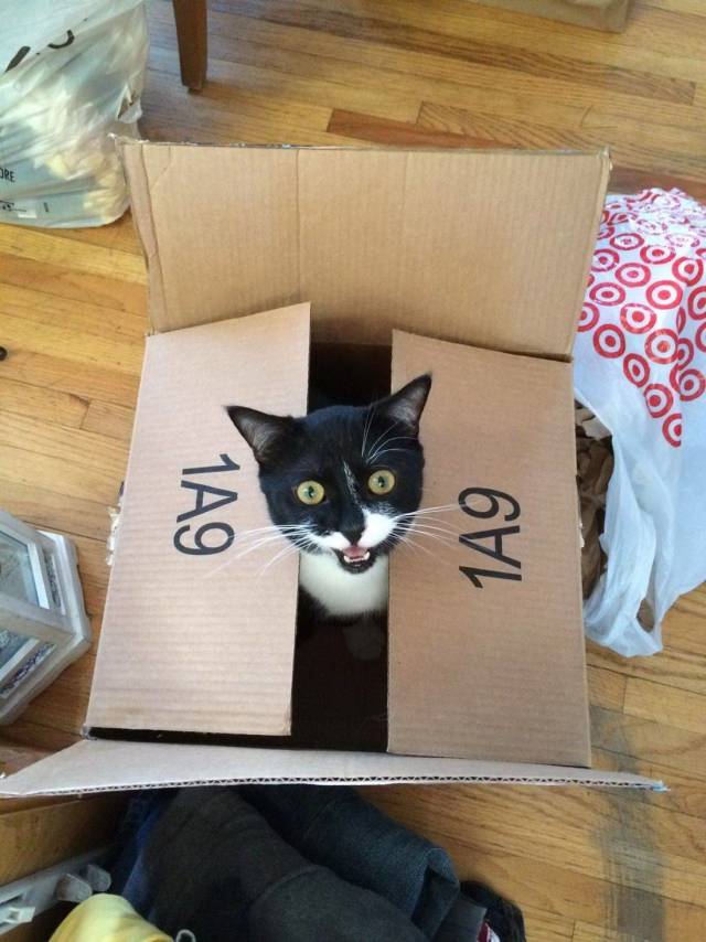 Daily Picdump