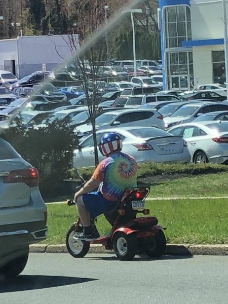 Morning Picdump