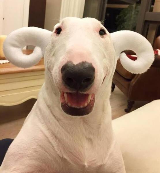 Morning Picdump