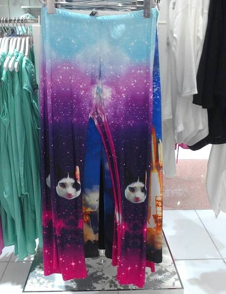 Morning Picdump
