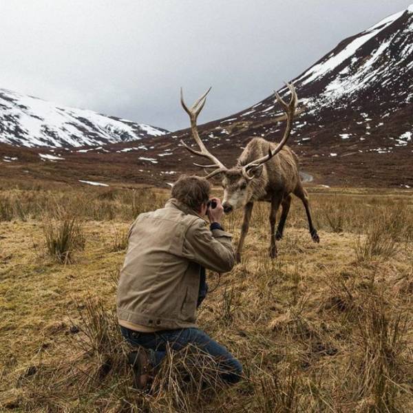 Daily Picdump [WEEKEND EDITION]