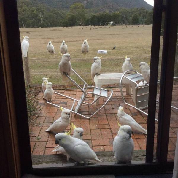 Hard-to-explain WTF Photos