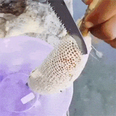 Watching Sharp Knives Cutting Stuff Is Incredibly Satisfying!