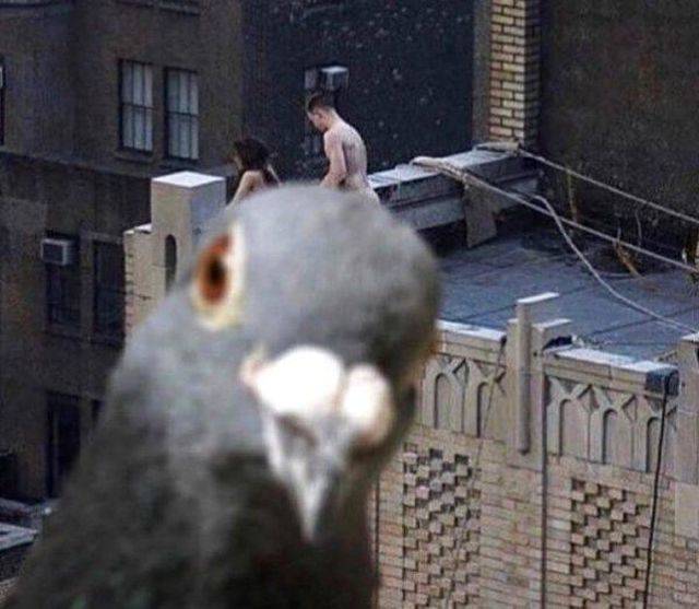 Dirty Mind, Come Here!