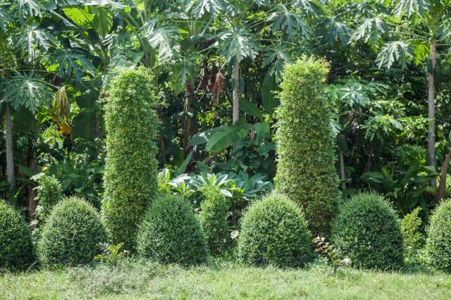 Dirty Mind, Come Here!