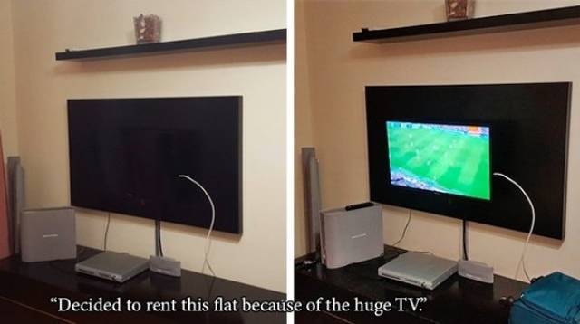 A##holes! A##holes Everywhere!