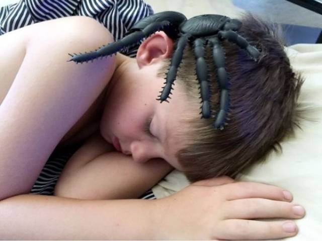 A##holes! A##holes Everywhere!