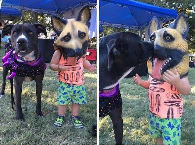 Daily Picdump
