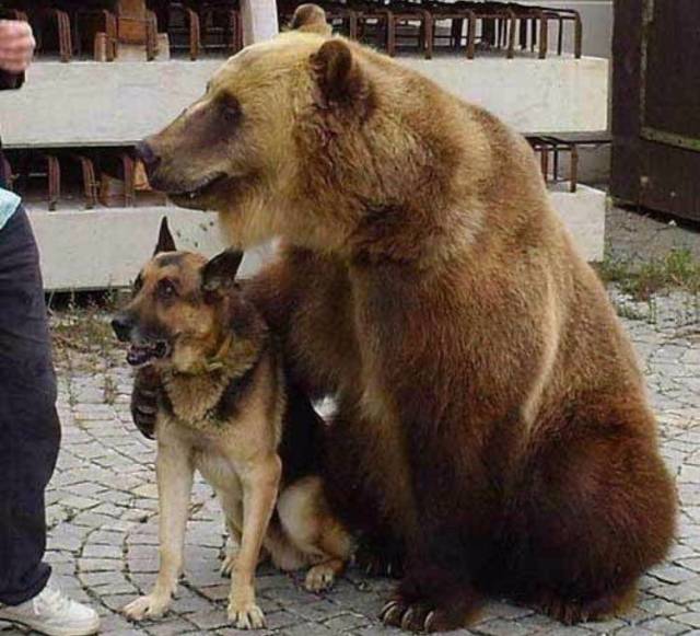Daily Picdump