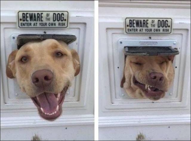 Daily Picdump