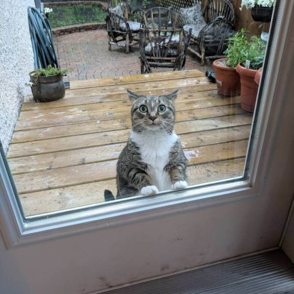 Daily Picdump