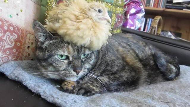 Daily Picdump