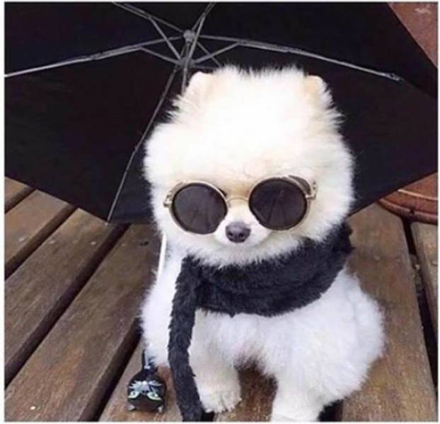 Morning Picdump