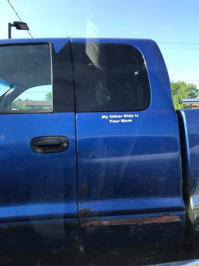 Morning Picdump